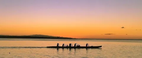Insights from PIRT members and partners at the Pacific Dialogue on NBSAPs & GBF Target 3