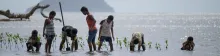 Pacific Islands Framework 2026-2030 — Regional consultation opens